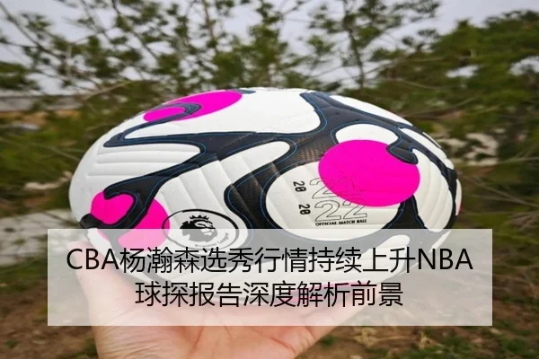 CBA杨瀚森选秀行情持续上升NBA球探报告深度解析前景